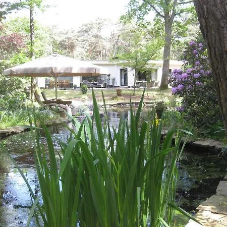 Bosgeluk Bed & Breakfast