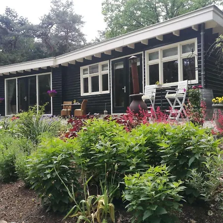 Bosgeluk Bed & Breakfast Helmond