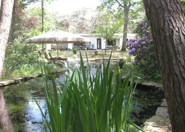 Bosgeluk Bed & Breakfast