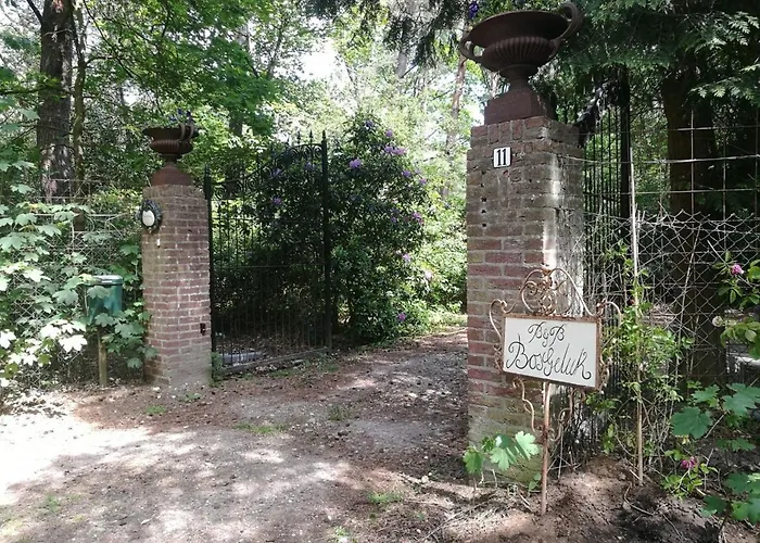 Bed & Breakfast Bosgeluk