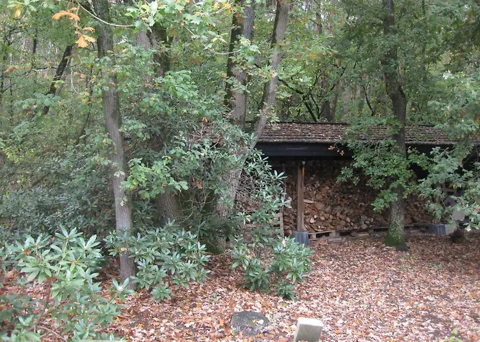 Bed & Breakfast Bosgeluk 4*