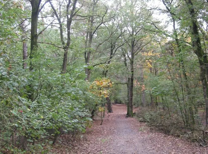 Bosgeluk Bed and Breakfast 4*