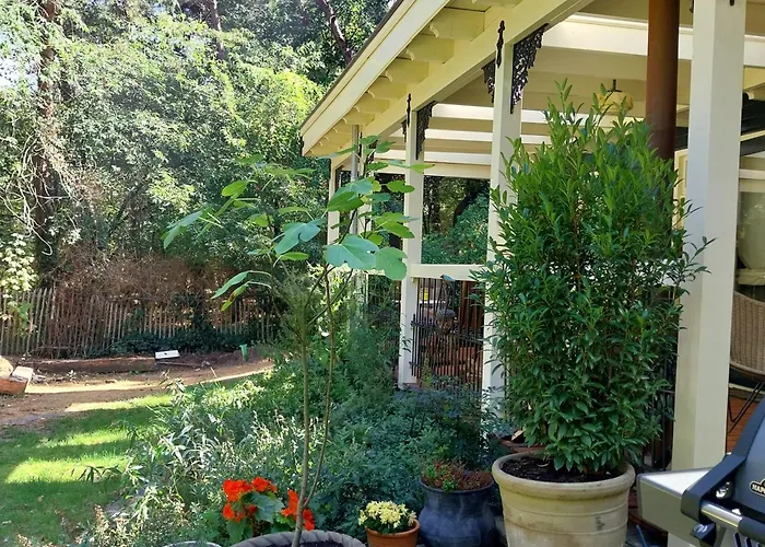 Bosgeluk Bed and Breakfast